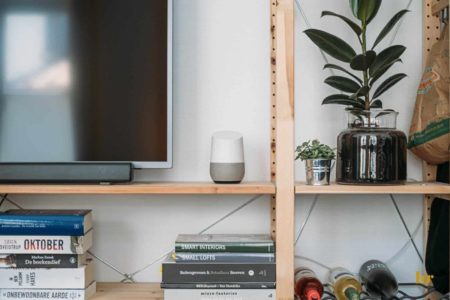 shelves with plant, television, smart home, books, wine bottles